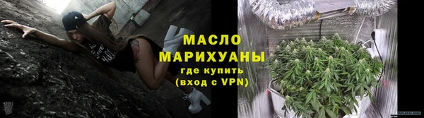тгк Новозыбков