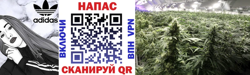 Канабис VHQ Циолковский